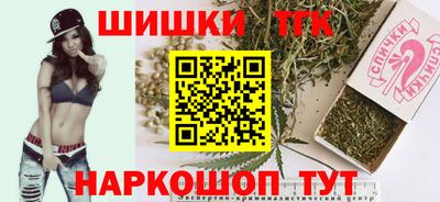 крисы Кингисепп
