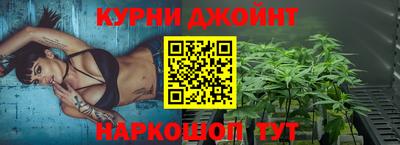 крисы Кингисепп