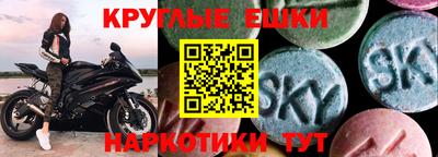 крисы Кингисепп